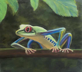 Baumfrosch.