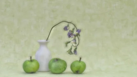 Zartes Botanisches Stillleben