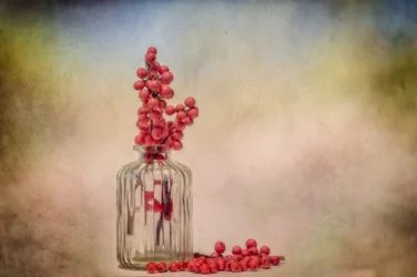 Rustikales Beeren-Stillleben