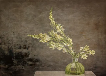 Rustikales Blumenstillleben