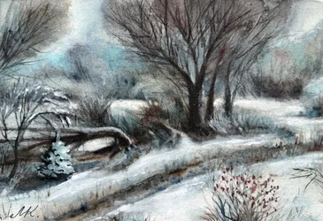 Verschneiter Winterweg