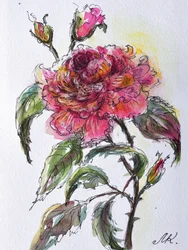 Aquarell Rosenblüte