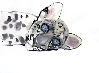 Arabischer Leopard, 2008