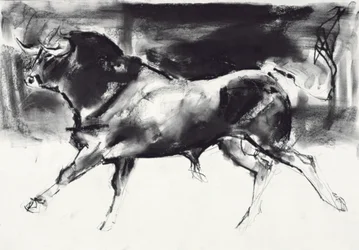 Schwarzer Stier