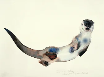 Neugieriger Otter, 2003
