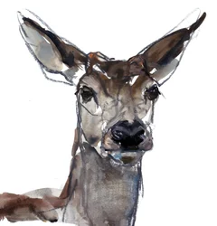 Hirsch (Studie)