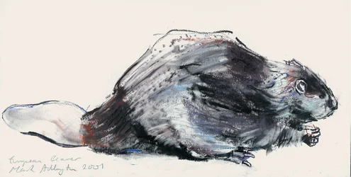 Europäischer Biber (Studie) 2001