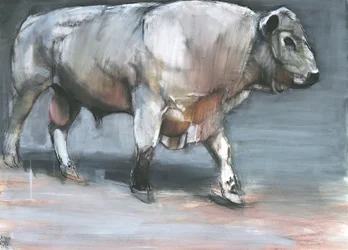 Fresno, Galloway-Bulle