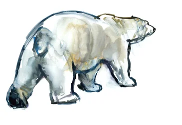 Gletscher-Minze (Eisbär), 2013