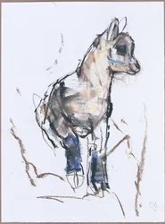 Steinbockjunges