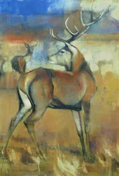 Rothirsch (Detail)