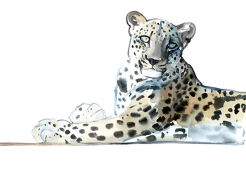 Neigung (Arabischer Leopard), 2015