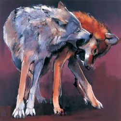 Zwei Wölfe, 2001