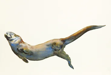 Samt, 2014 (Aquarell auf Papier)