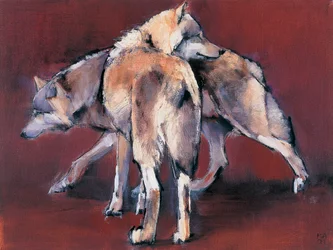 Wolfskomposition, 2001