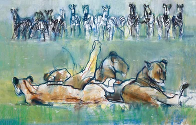 Zebralinie, 2019