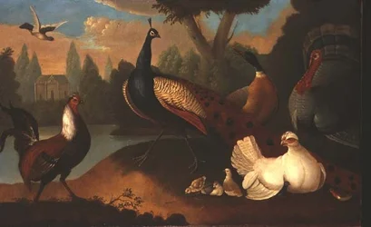 Landschaft mit verschiedenen Vögeln