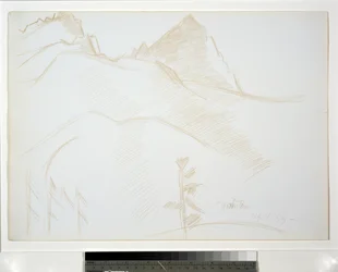 Berglandschaft mit Kiefern