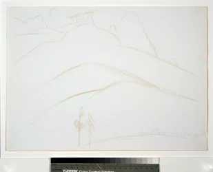 Berglandschaft mit zwei Kiefern