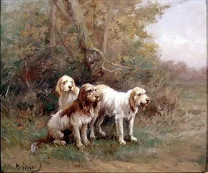 Otterhunde in einer Landschaft