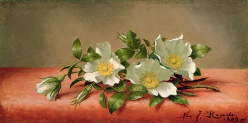 Cherokee-Rosen, 1889
