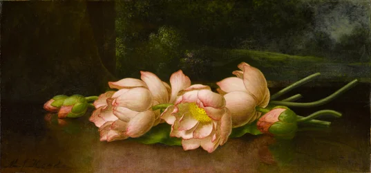 Lotusblumen: Eine Landschaftsmalerei im Hintergrund