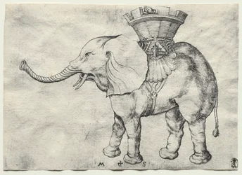 Ein Elefant mit Howdah