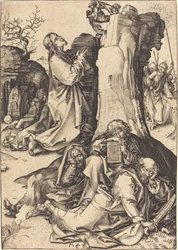 Die Agonie im Garten