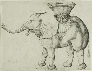 Der Elefant