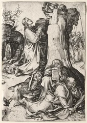 Die Passion: Die Agonie im Garten