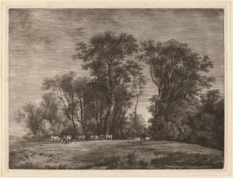 Eine Wiese mit Vieh am Waldrand