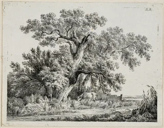 Landschaft