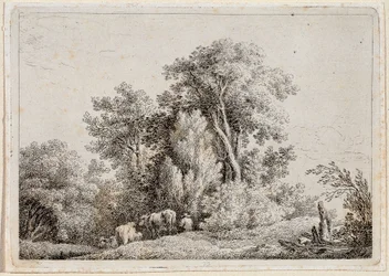 Landschaft