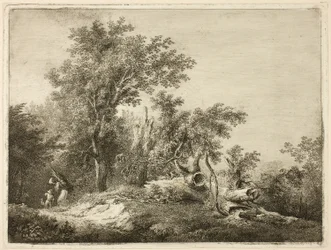 Der gefallene Baumstamm