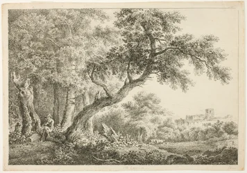 Wanderer ruht im Wald