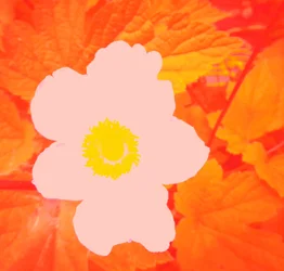 Blume (Hommage an Andy Warhol)