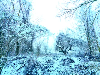Winter Blau