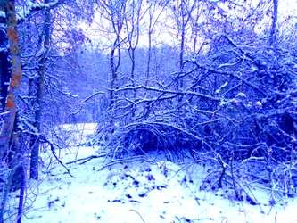 Winter Blau