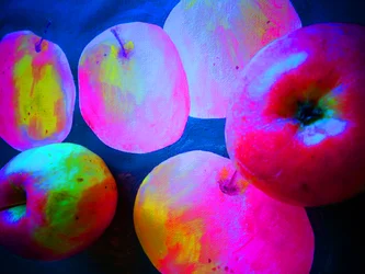 Äpfel4