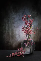 Stillleben mit rosa Beeren