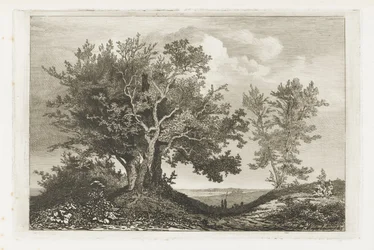 Landweg zwischen zwei Baumgruppen