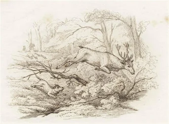 Illustration zu „Halvhundrede Fabler for Børn“ von Hey