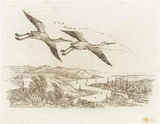 Illustration zu "Halvhundrede Fabler for Børn" von Hey