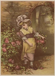 Mädchen pflückt Rosen