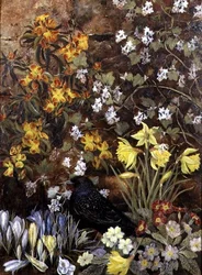 Frühlingsblumen
