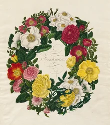 Ein Rosenkranz, 1799