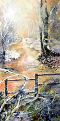 Früher Wintermorgen entlang des Markeaton-Bachs