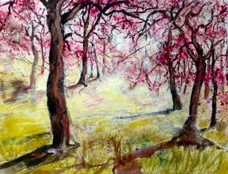 Magenta Blüten