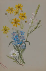 (Ohne Titel, Gruppe von Blumen)