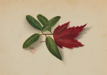 Ohne Titel, 1873